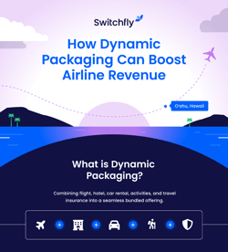 Airline Dynamic Packaging Infographic Preview