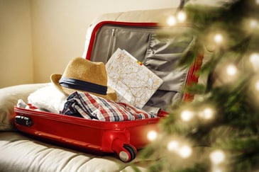 Home for the Holidays: Boosting Customer Satisfaction with Holiday Travel Rewards in Loyalty Programs
