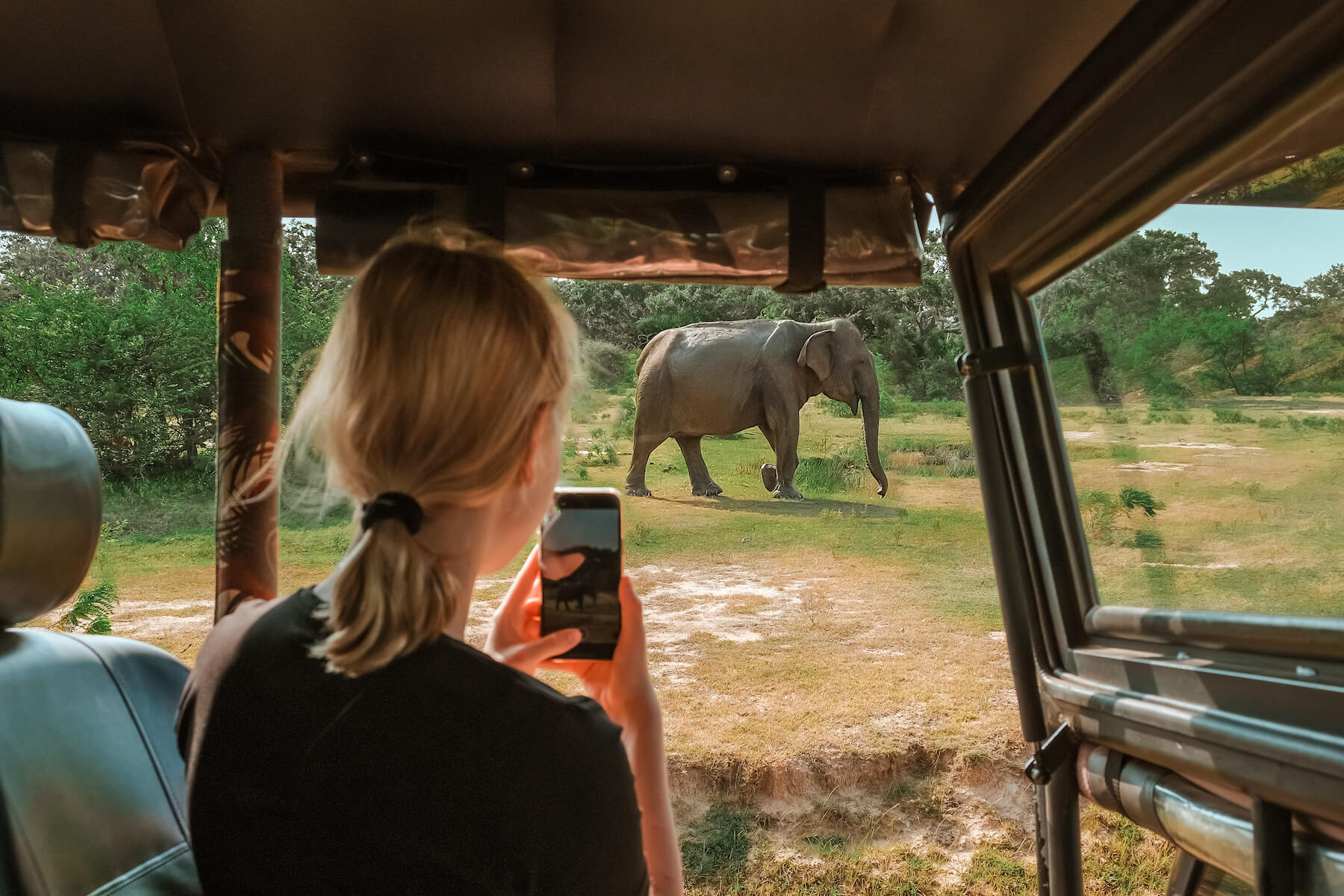 sustainable travel rewards